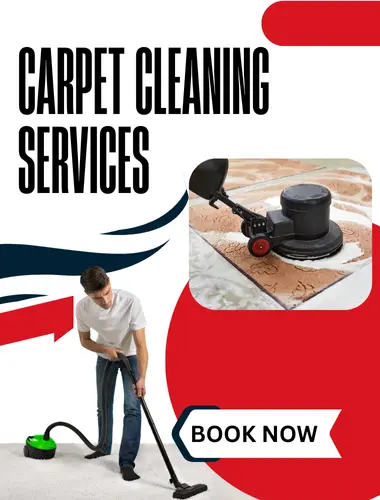 Best Couch Cleaning Company